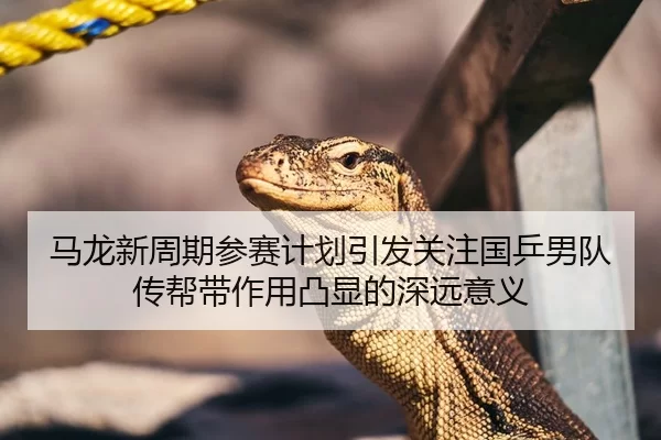 马龙新周期参赛计划引发关注国乒男队传帮带作用凸显的深远意义 | Kaiyun FIFA WorldCup
