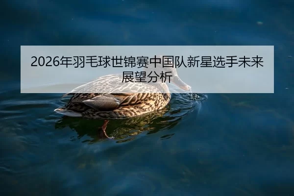 2026年羽毛球世锦赛中国队新星选手未来展望分析 - Kaiyun FIFA WorldCup