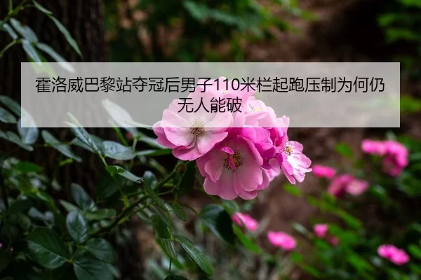 霍洛威巴黎站夺冠后男子110米栏起跑压制为何仍无人能破（Kaiyun FIFA WorldCup）