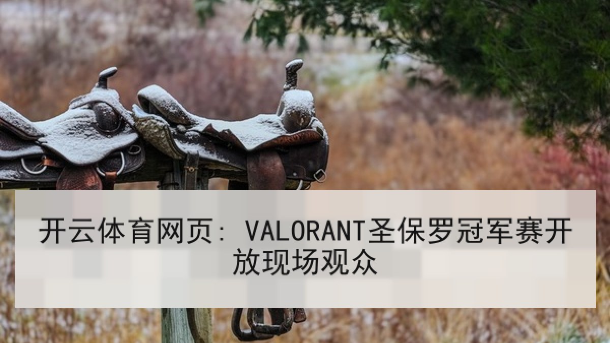 开云体育网页: VALORANT圣保罗冠军赛开放现场观众